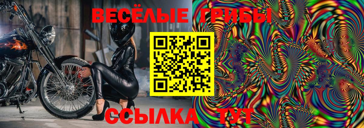 Псилоцибиновые грибы Psilocybe  Вход с VPN  Лабытнанги 