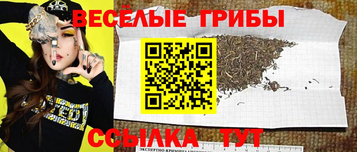 Псилоцибиновые грибы мухоморы Лабытнанги